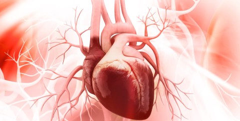 Bubble test cardiaco: cos'è e perché si fa