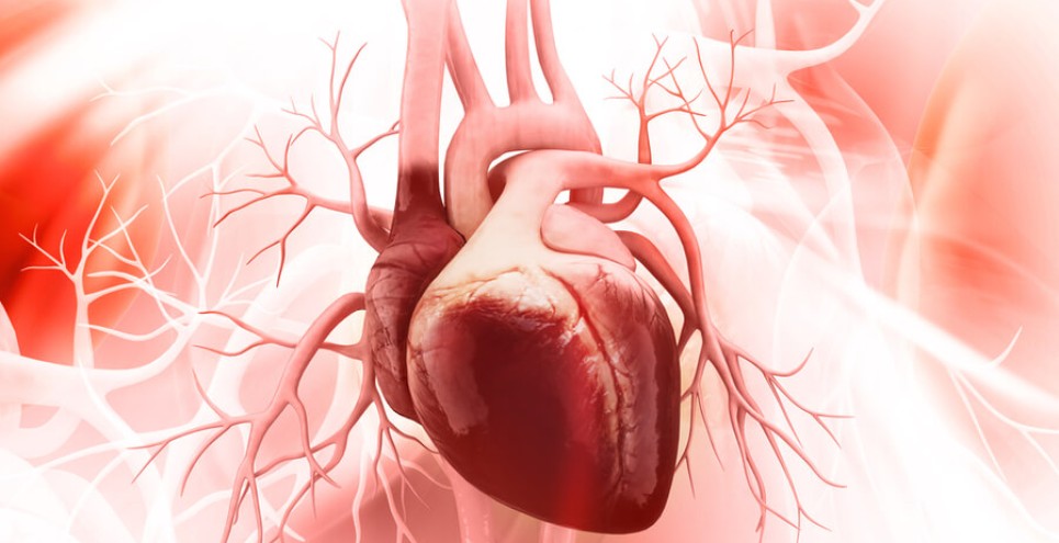 Bubble test cardiaco: cos'è e perché si fa
