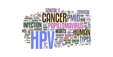 Papilloma Virus: le 10 domande più comuni