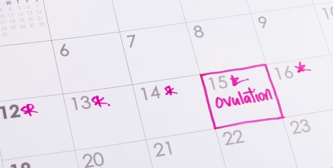 Social freezing: perchè congelare gli ovuli?