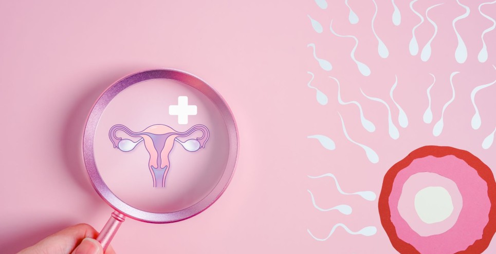 Fertilità e futuro: scienza e consapevolezza nell'incontro con gli esperti PMA a Roma