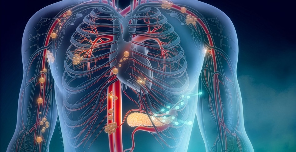 Quando rivolgersi all'angiologo?