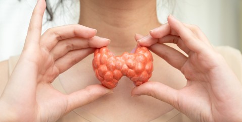 Tiroidite di Hashimoto: i segnali da riconoscere