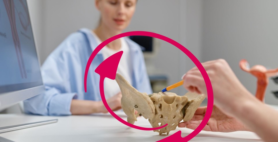 Pavimento pelvico e intestino: il legame tabù