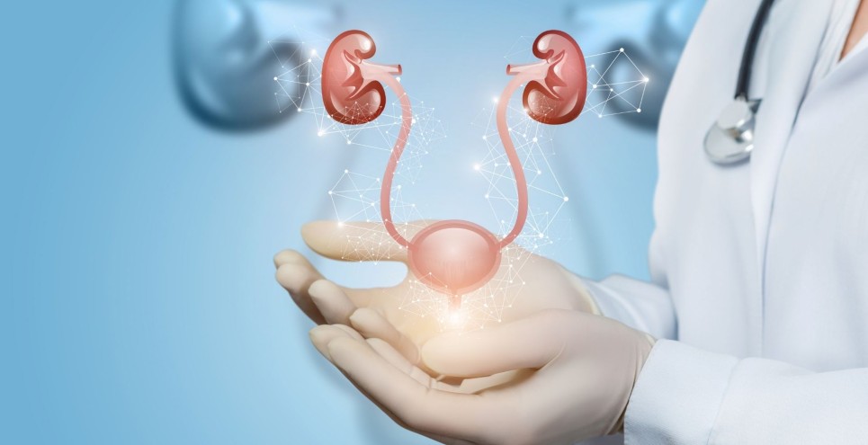 Uroflussometria: cos’è, come si svolge e quando viene prescritta